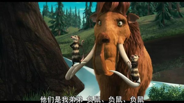 睿新策略 负鼠妈妈，背着十多只孩子，穿越铁网，萌翻网友！
