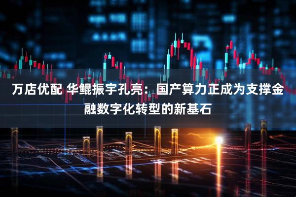 万店优配 华鲲振宇孔亮：国产算力正成为支撑金融数字化转型的新基石