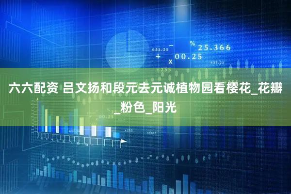 六六配资 吕文扬和段元去元诚植物园看樱花_花瓣_粉色_阳光