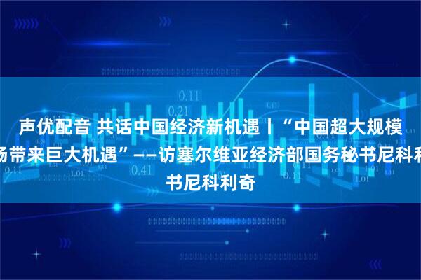 声优配音 共话中国经济新机遇丨“中国超大规模市场带来巨大机遇”——访塞尔维亚经济部国务秘书尼科利奇
