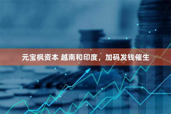 元宝枫资本 越南和印度，加码发钱催生