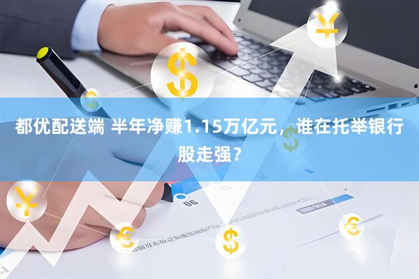 都优配送端 半年净赚1.15万亿元，谁在托举银行股走强？